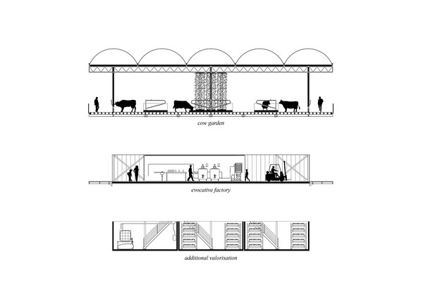 Floating Farm, Rotterdam, Cow, Grafik